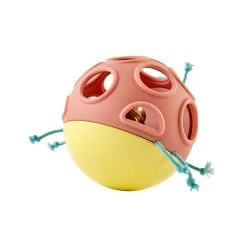 Hape Busy Bug Rammelaar